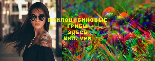 мяу мяу мука Аркадак