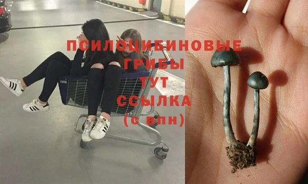 гидра Армянск