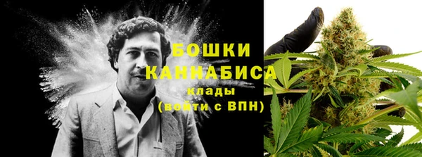 гидра Армянск