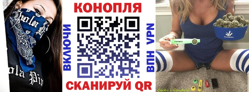 Канабис гибрид Талица